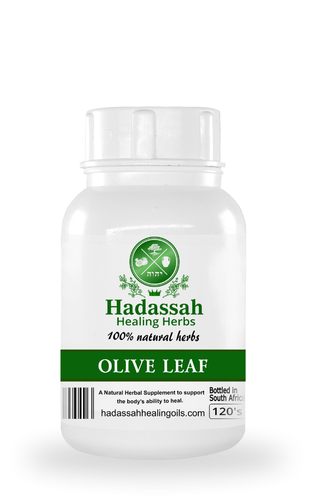 OLIVE LEAF HERBAL CAPSULES 120
